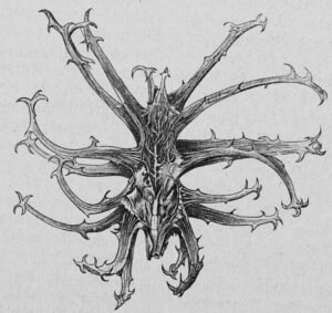devils claw