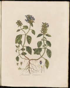 self heal