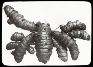 turmeric